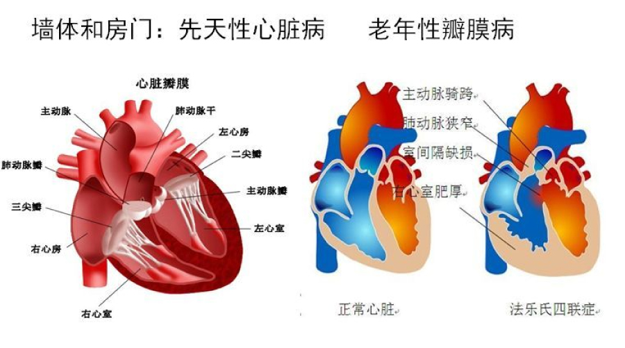 客戶說3.jpg